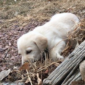 Meet your Posher, Coner